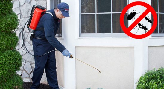 Bozkır Bit İlaçlama böcek ilaçlama ve haşere kontrolü — ilaclama-tr.com